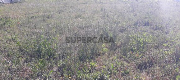 Grundstück in Sangalhos, Portugal, Nr. 165891 11