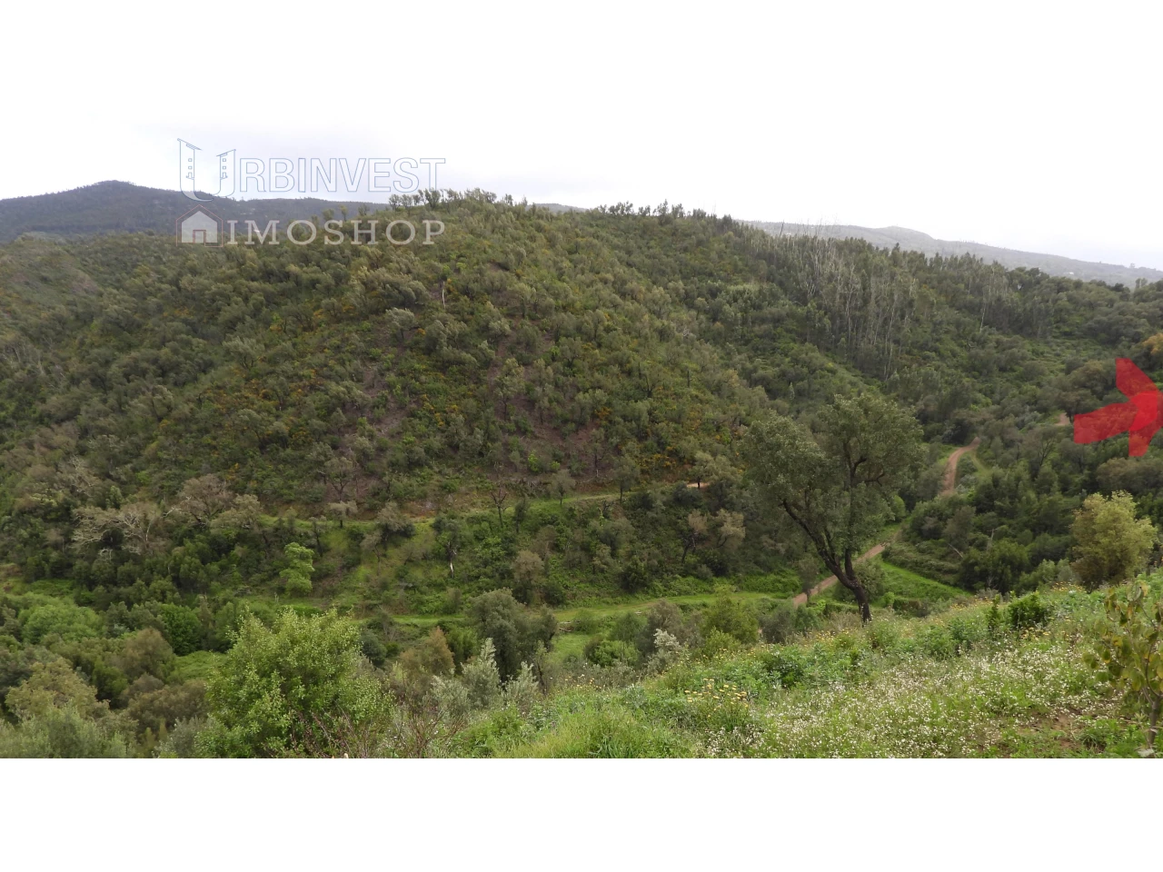 Terrain à Monchique, Portugal No. 332142