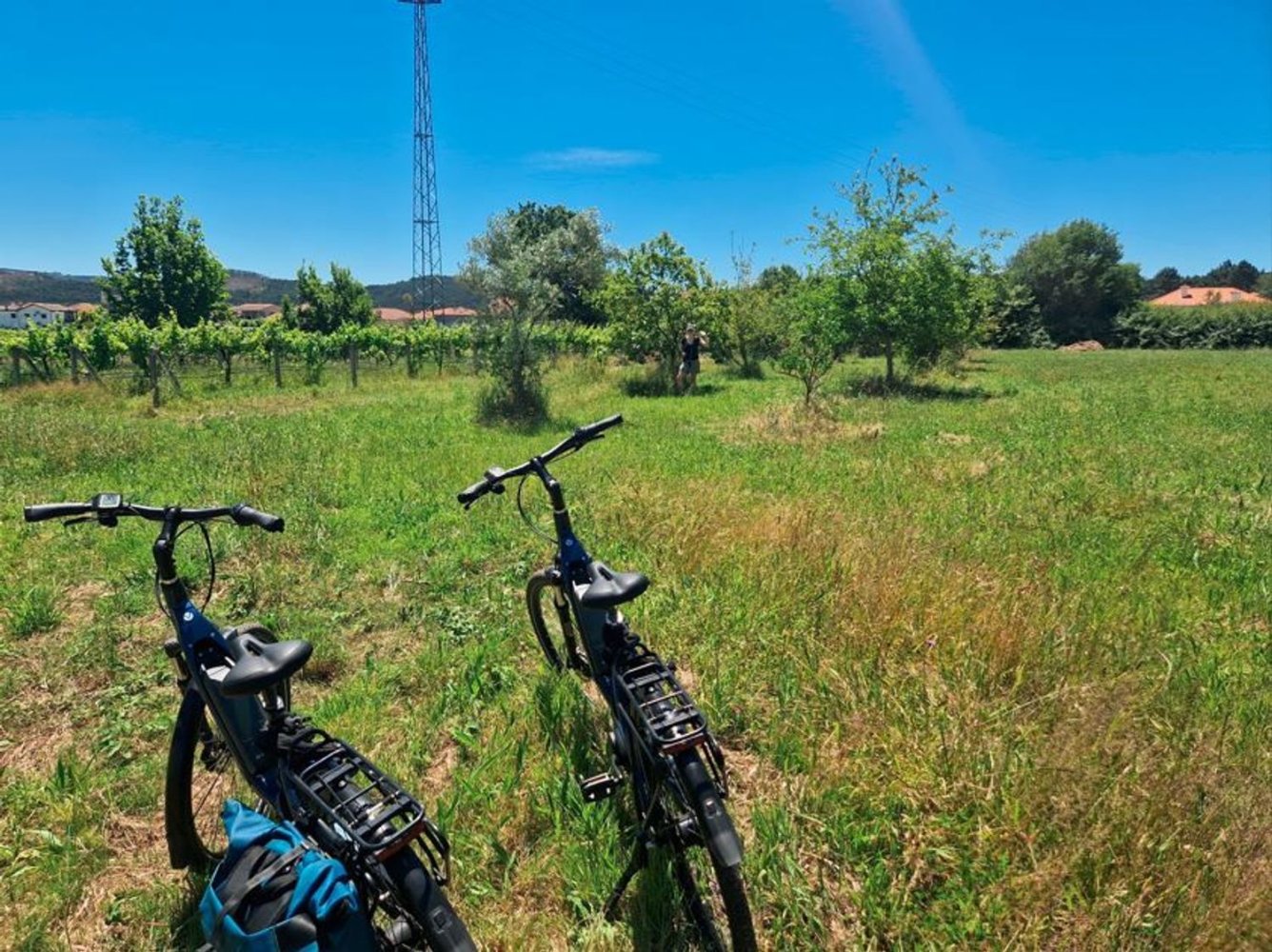 Terrain à Santo Tirso, Portugal No. 355298