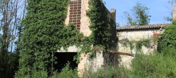 160000m² Land in Todi, Italy No. 155899 6