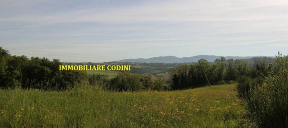 160000m² Land in Todi, Italy No. 155899 5