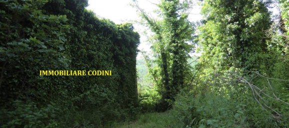 160000m² Land in Todi, Italy No. 155899 8