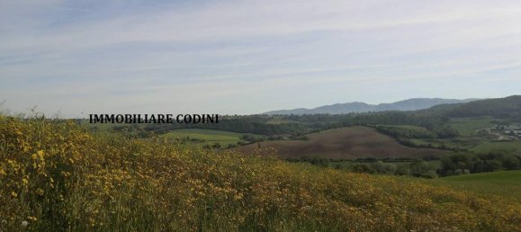 160000m² Land in Todi, Italy No. 155899 10