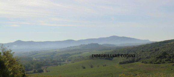 160000m² Land in Todi, Italy No. 155899 13