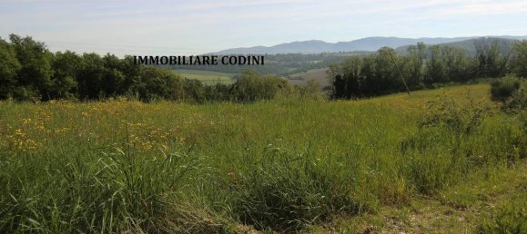 160000m² Land in Todi, Italy No. 155899 7
