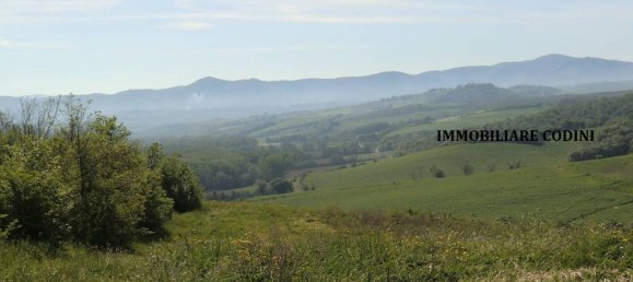 160000m² Land in Todi, Italy No. 155899 3