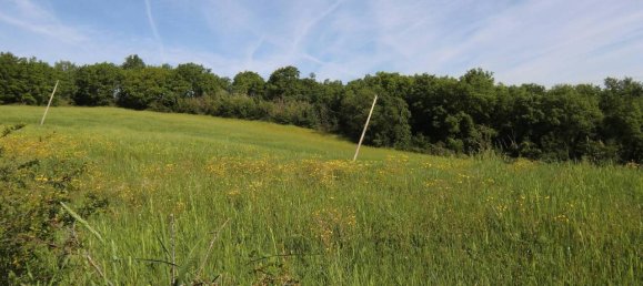 160000m² Land in Todi, Italy No. 155899 2