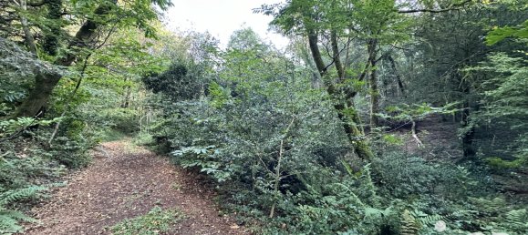 Grundstück in Quimper, France 21810m², Nr. 97080 5