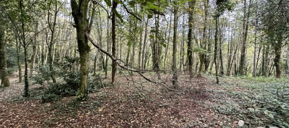 Grundstück in Quimper, France 21810m², Nr. 97080 8