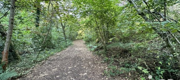 Grundstück in Quimper, France 21810m², Nr. 97080 7