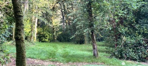 Grundstück in Quimper, France 21810m², Nr. 97080 2