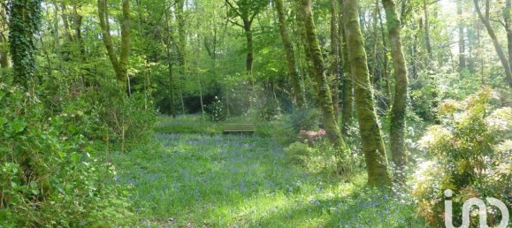 Grundstück in Quimper, France 21810m², Nr. 97080 6