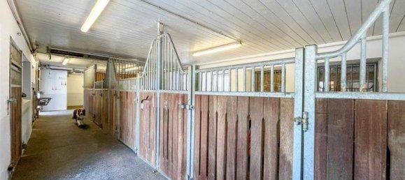 11 rooms House in Kirchberg bei Mattighofen, Austria No. 158780 16