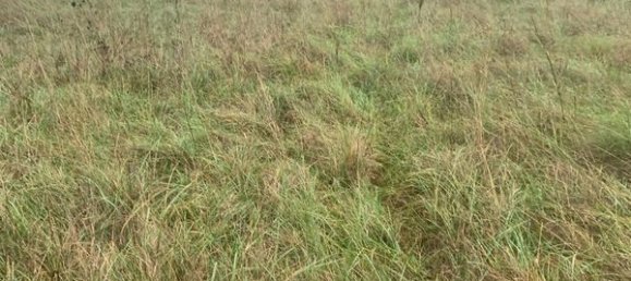 1289m² Land in Artemare, France No. 272917 3