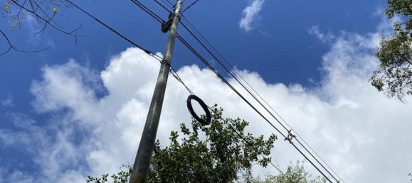 Terrain à Puerto Jimenez, Costa Rica No. 1861 3