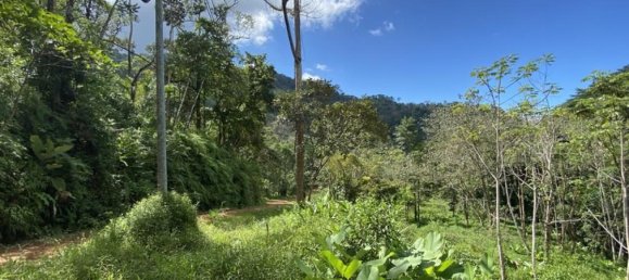 Terrain à Puerto Jimenez, Costa Rica No. 1861 6