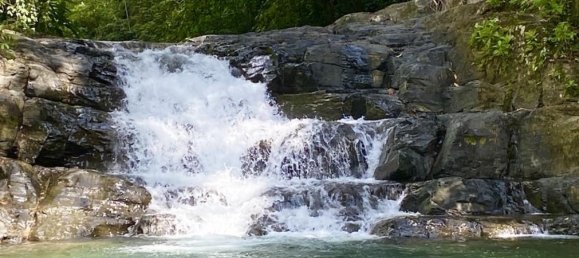 Terrain à Puerto Jimenez, Costa Rica No. 1861 2