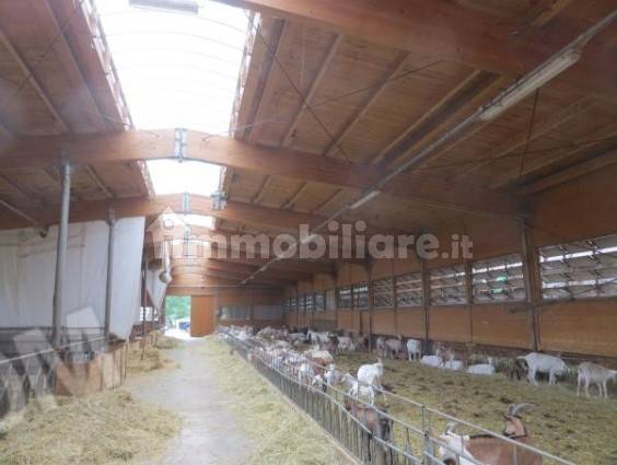 Studio in Cene, Italy No. 259918