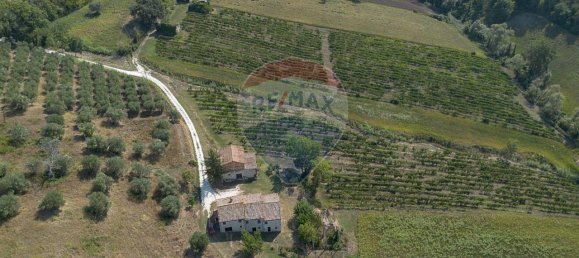 1 room Land in Cupramontana, Italy No. 2443 2