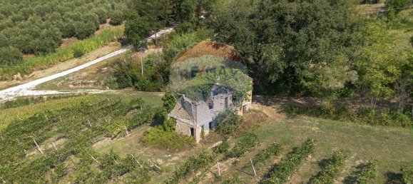 1 room Land in Cupramontana, Italy No. 2443 3