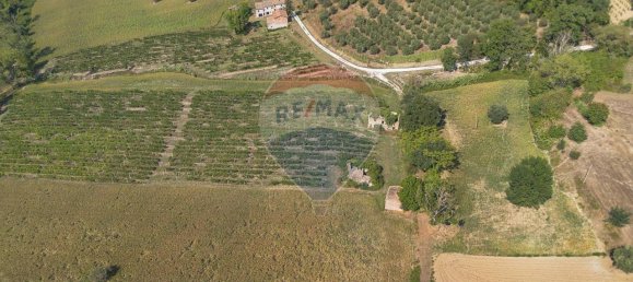 1 room Land in Cupramontana, Italy No. 2443 5