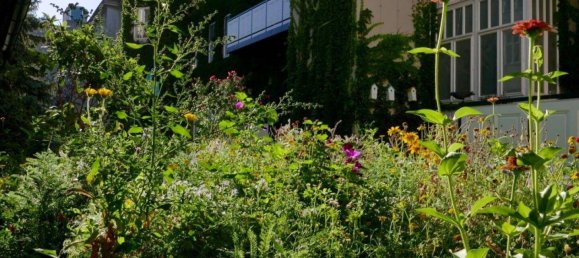 3غرفة شقة في Vienna, Austria رقم 215897 32