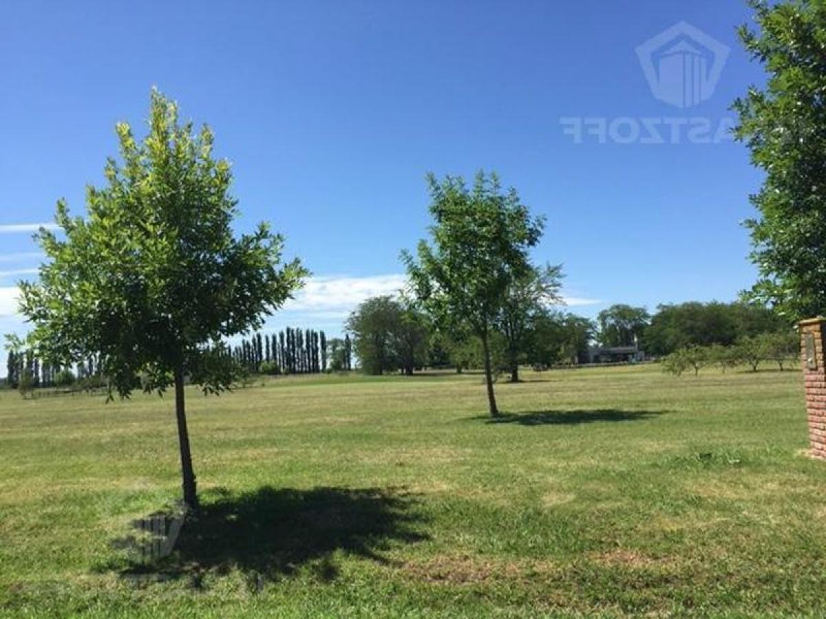  Land in Pilar, Argentina No. 37669