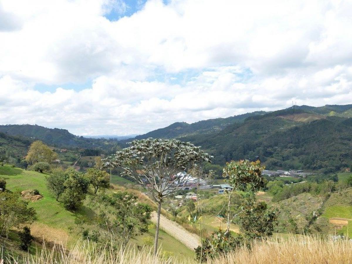  قطعة أرض في Antioquia, Colombia رقم 548