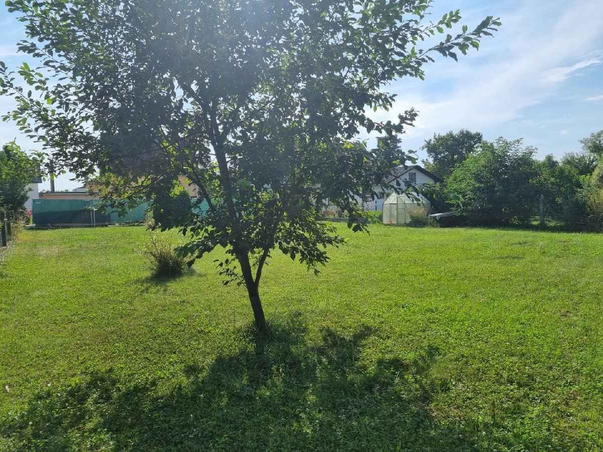 Terrain à Liebenau, Austria No. 43403