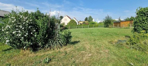 Terrain à Liebenau, Austria No. 43403 2