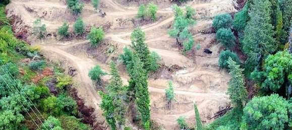 5200m² Hotel in Corfu, Greece No. 5263 4