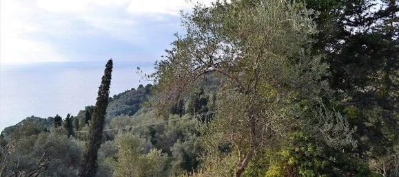 5200m² Hotel in Corfu, Greece No. 5263 16