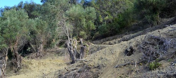 5200m² Hotel in Corfu, Greece No. 5263 13