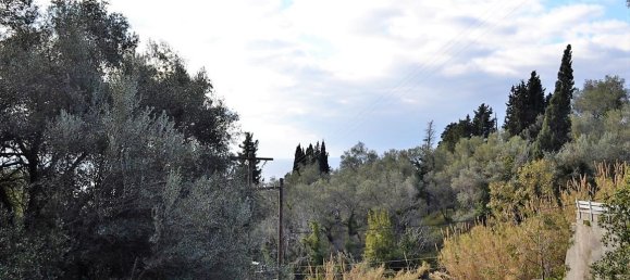 5200m² Hotel in Corfu, Greece No. 5263 10