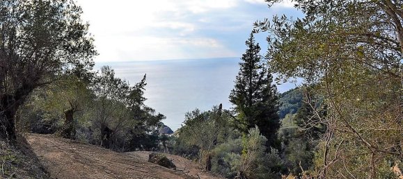 5200m² Hotel in Corfu, Greece No. 5263 17