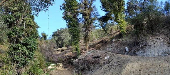 5200m² Hotel in Corfu, Greece No. 5263 9