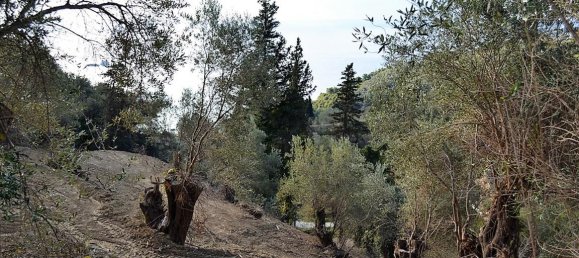 5200m² Hotel in Corfu, Greece No. 5263 18