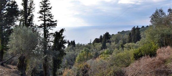 5200m² Hotel in Corfu, Greece No. 5263 12