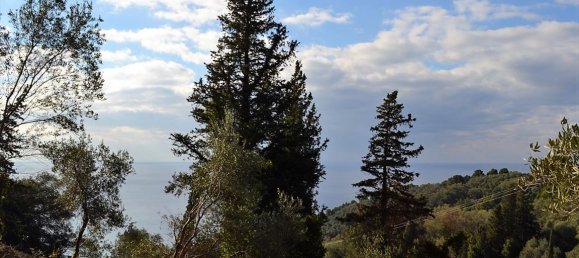 5200m² Hotel in Corfu, Greece No. 5263 6