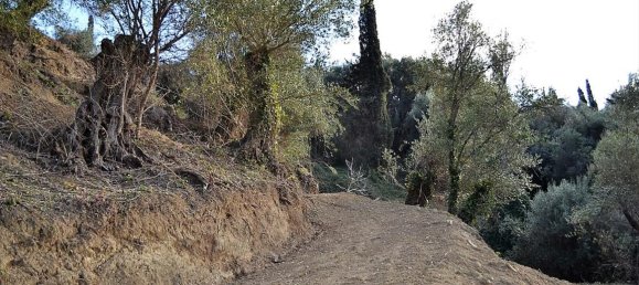 5200m² Hotel in Corfu, Greece No. 5263 14