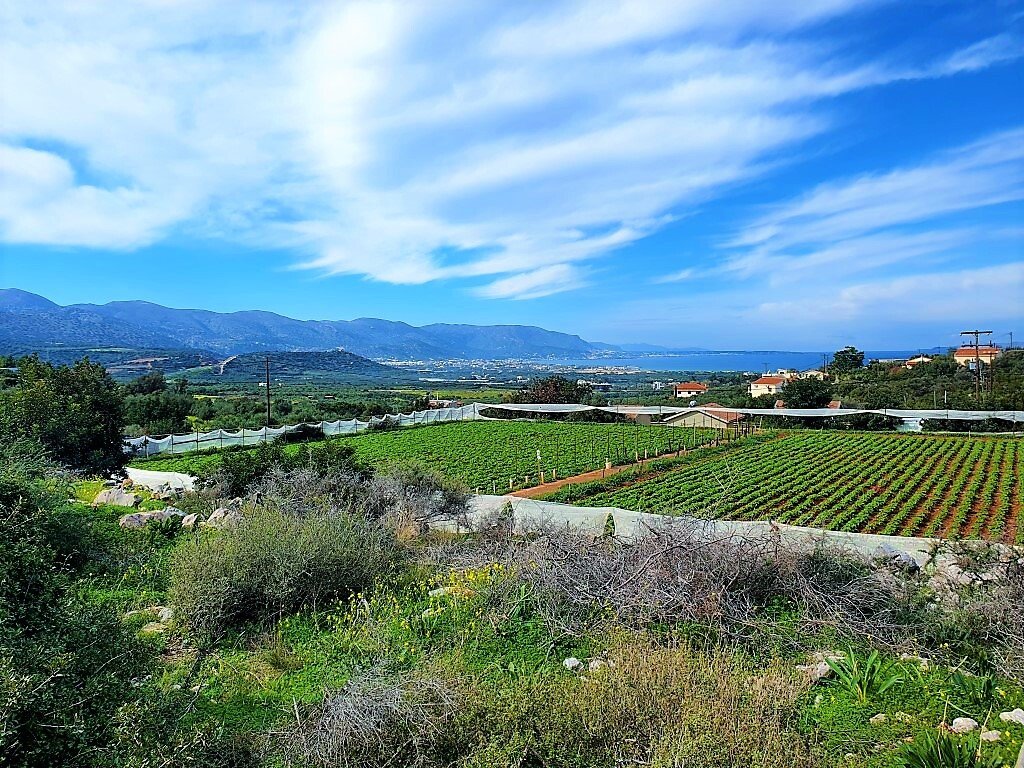 Hotel in Lasithi, Greece 10000m², Nr. 3310