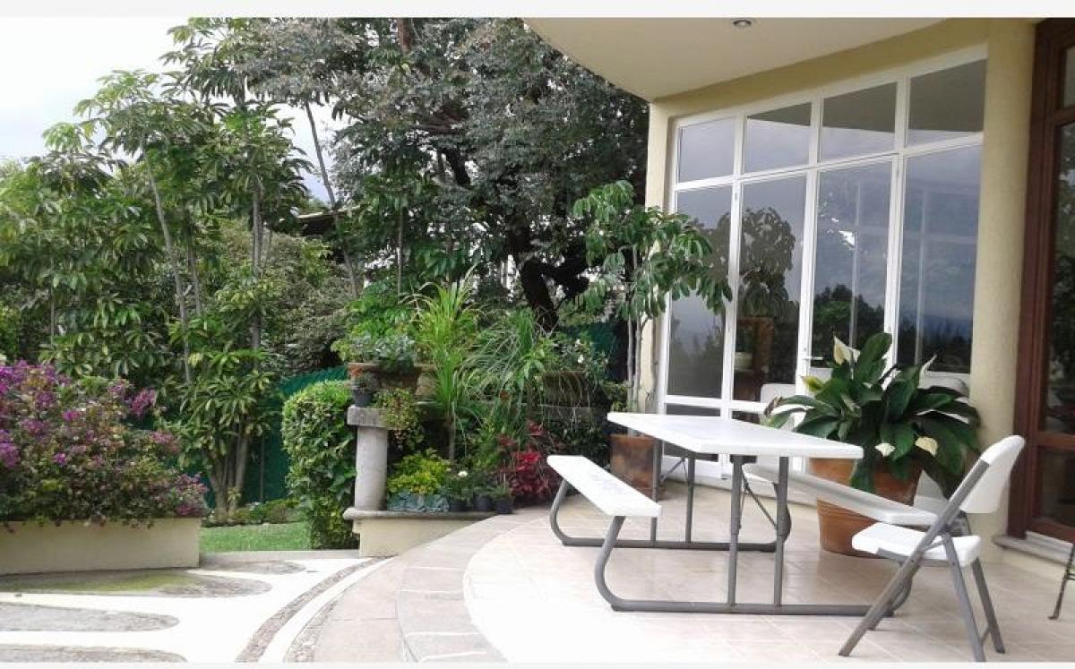 استوديو في Morelos, Mexico رقم 150773