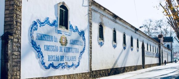 5 غرف نوم منزل في Sintra, Portugal رقم 109546 43