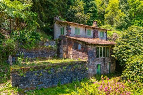 3 غرف نوم منزل في Santana, Portugal رقم 244842