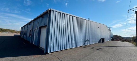 Gewerbliche Immobilie in Saint-Avold, France 3164m², Nr. 307643 7