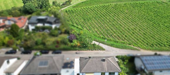 Таунхаус с 7 комнатами в Рейн-Неккар, Германия № 359348 3