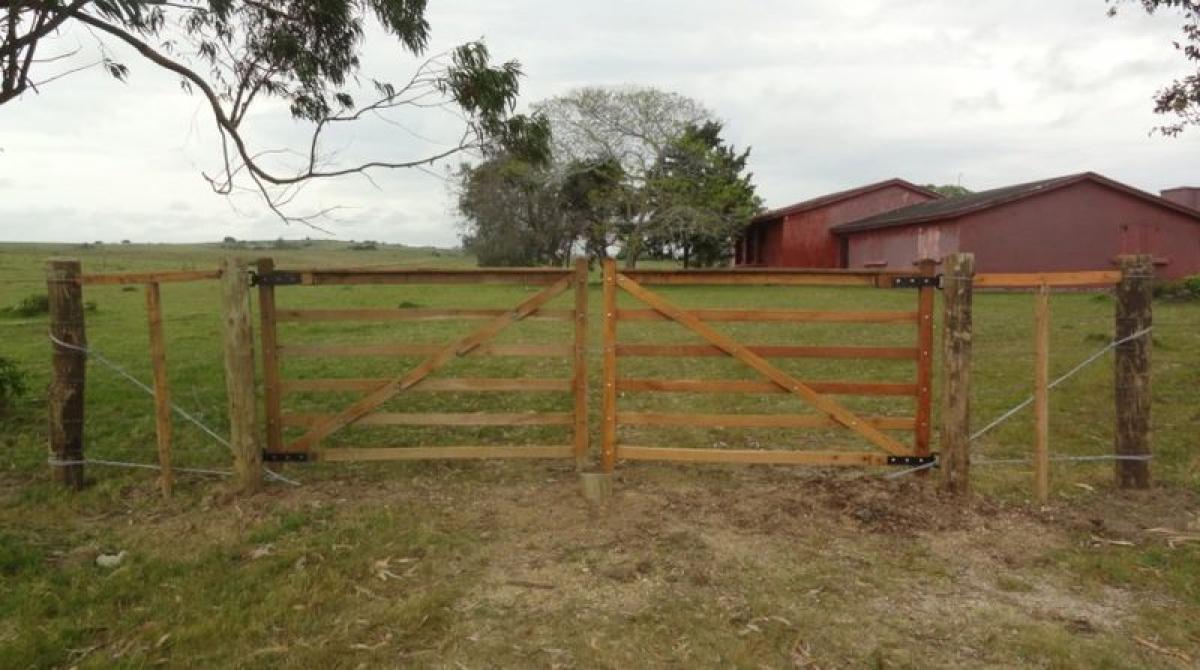  Farm in Maldonado, Uruguay No. 15823