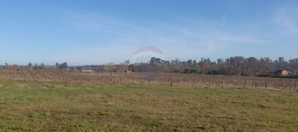 1556m² Land in Tondela, Portugal No. 51621 7