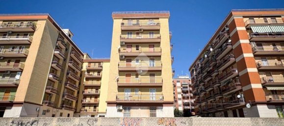 4 bedrooms Apartment in Manfredonia, Italy No. 334396 11