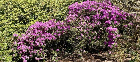 10 rooms Townhouse in Kaiserslautern, Germany No. 231136 13